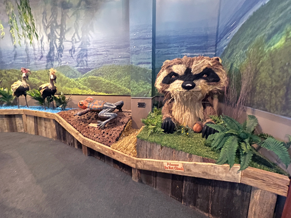 wildlife display
