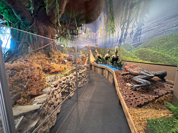 wildlife display