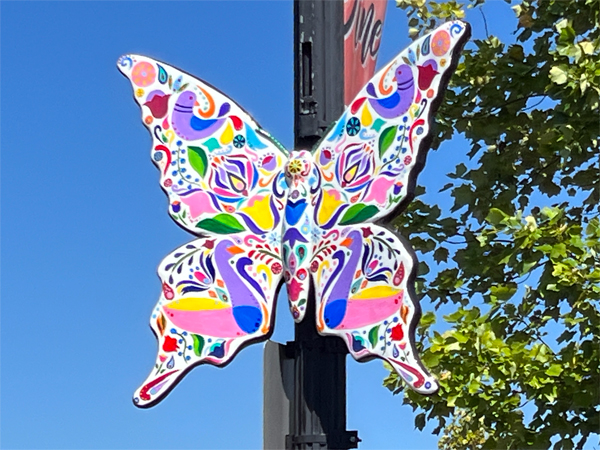 Butterfly art