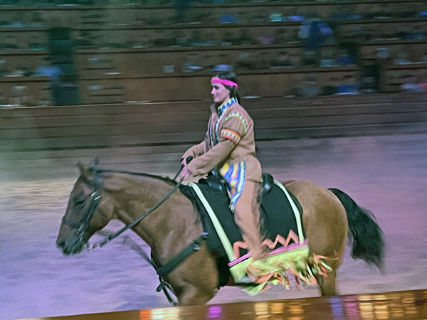 Indian on a horse