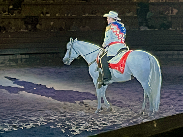 fancy cowboy