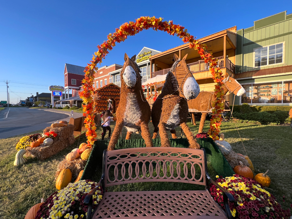 Pumpkin display