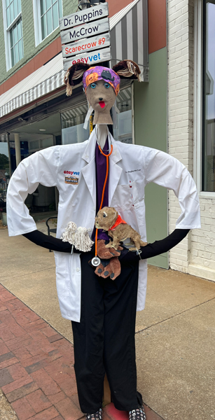 Easyvet Fort Mill scarecrow