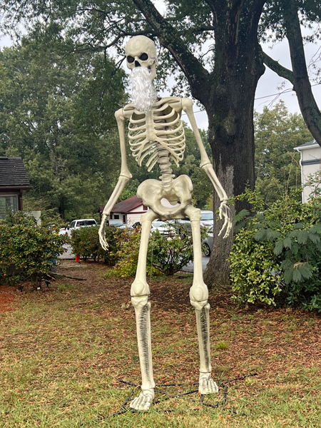 giant skeleton