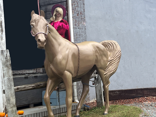 cowgirl and horse