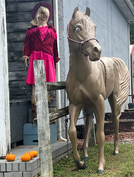 cowgirl and horse