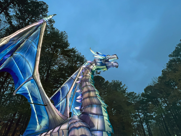 Ice Dragon