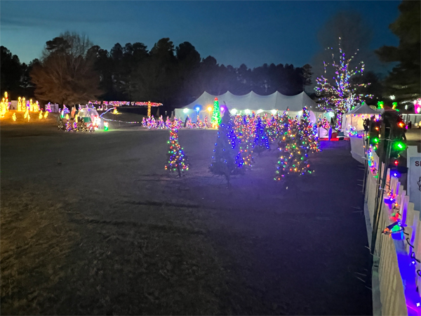 Christmas and Holiday Light display