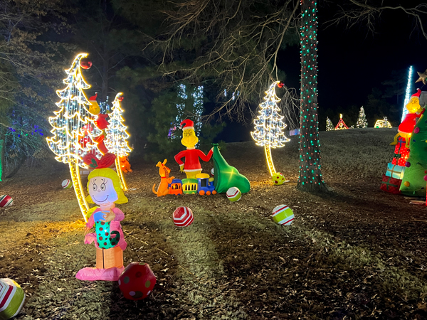 Grinch display