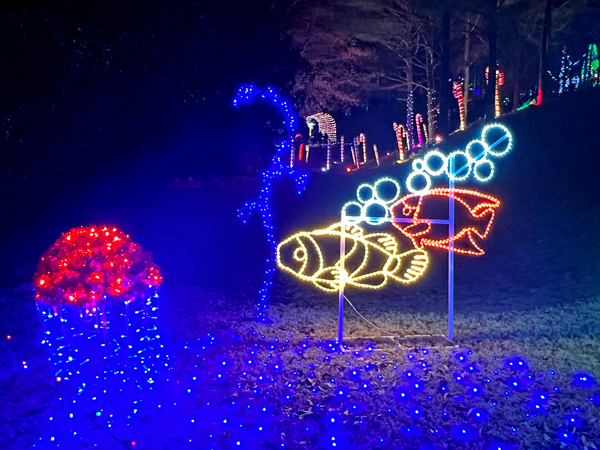 fish
