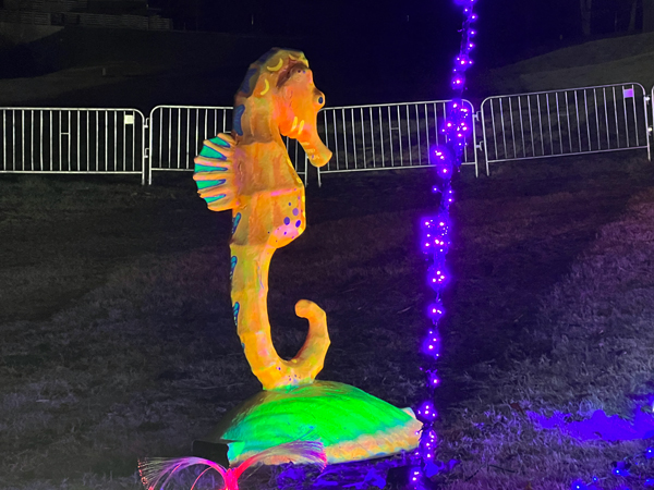 sea horse