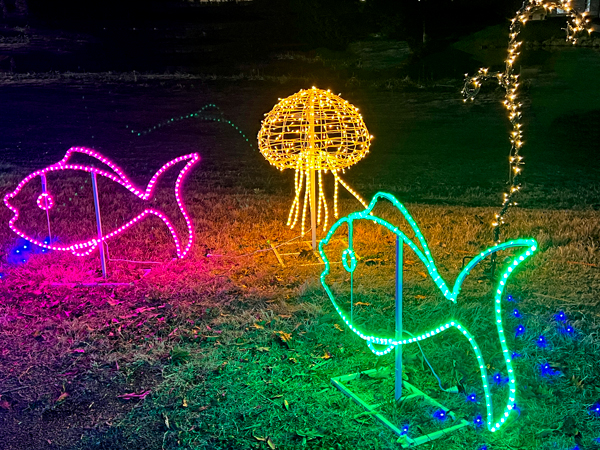 fish and octopus