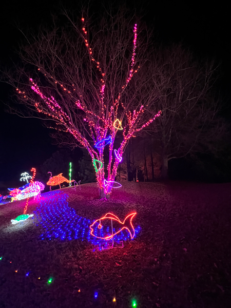 fish and tree
