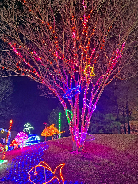 fish and tree