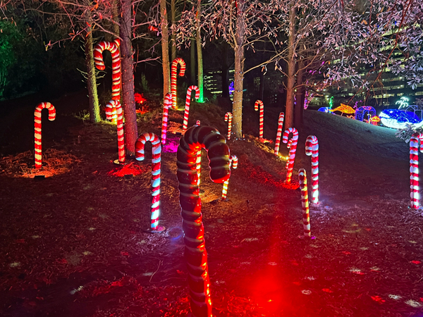 candy canes