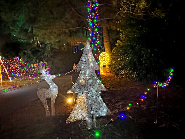 Reindeer Row