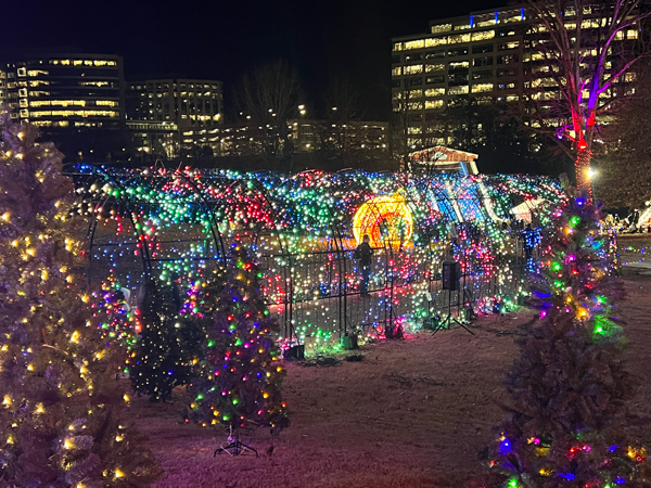 The amazing and ever-changing Tunnel of Lights