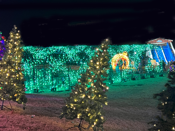 The amazing and ever-changing Tunnel of Lights