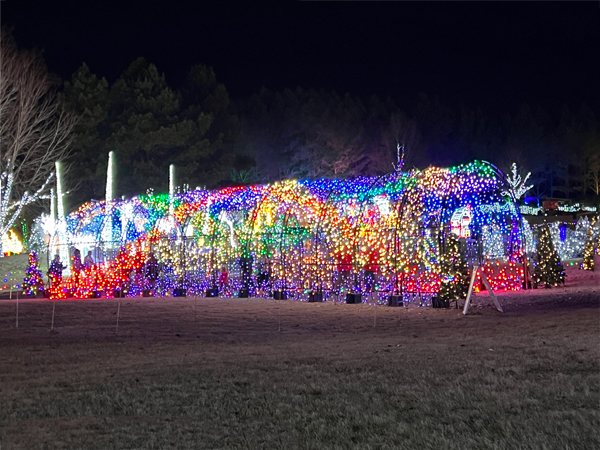 The amazing and ever-changing Tunnel of Lights