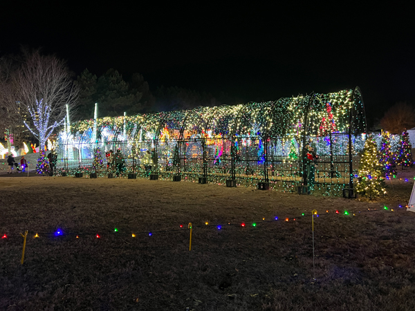 The amazing and ever-changing Tunnel of Lights