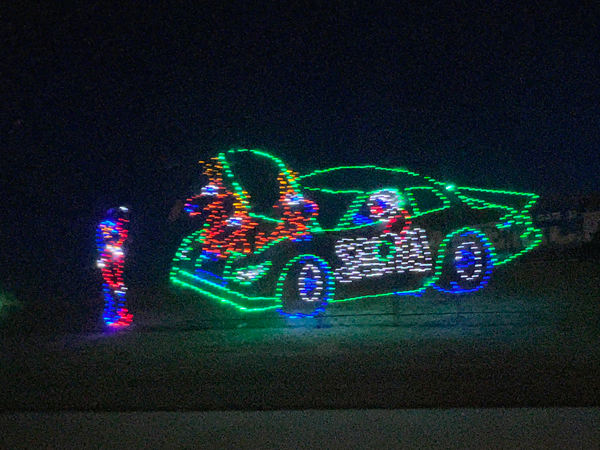 reindeer in the car trunk 