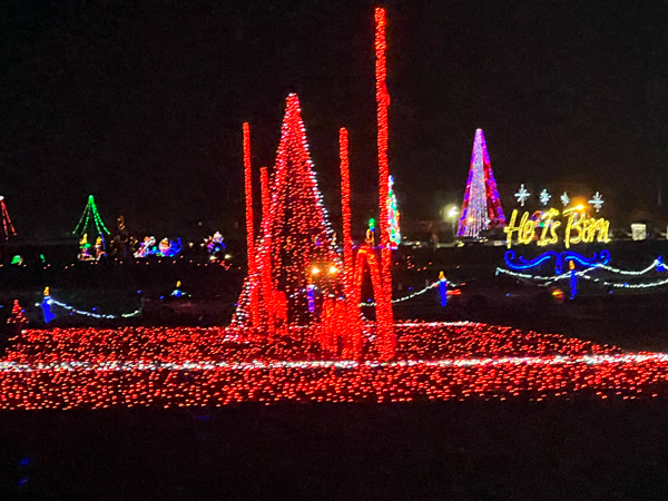 Christmas tree with changing lights