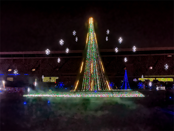Christmas tree with changing lights
