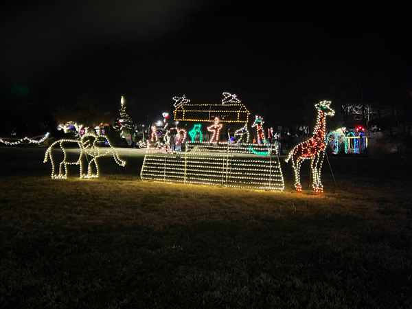 Noah's animals