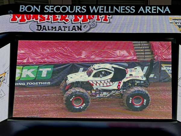 Monster Mutt Dalmatian