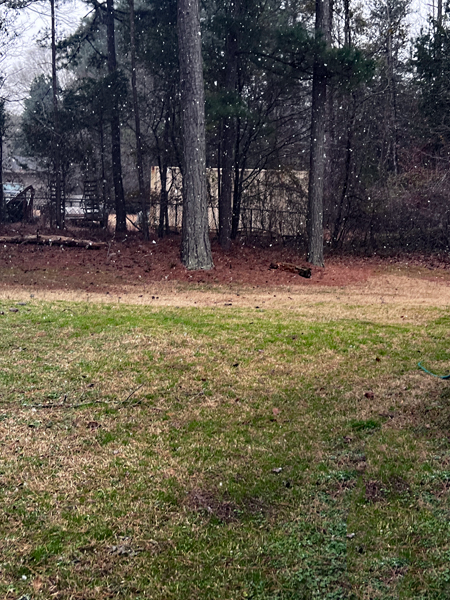 snow in South Carolina