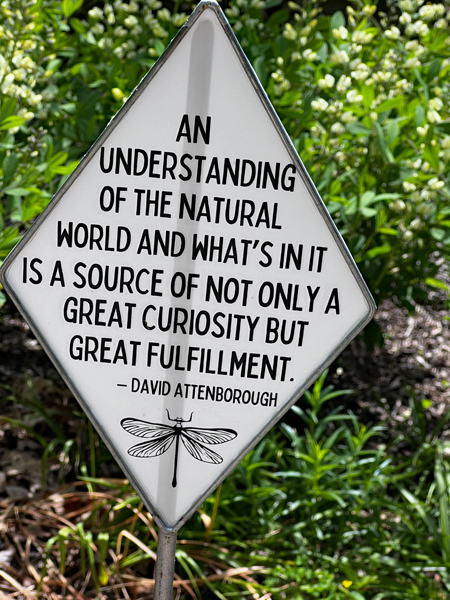 nature sign