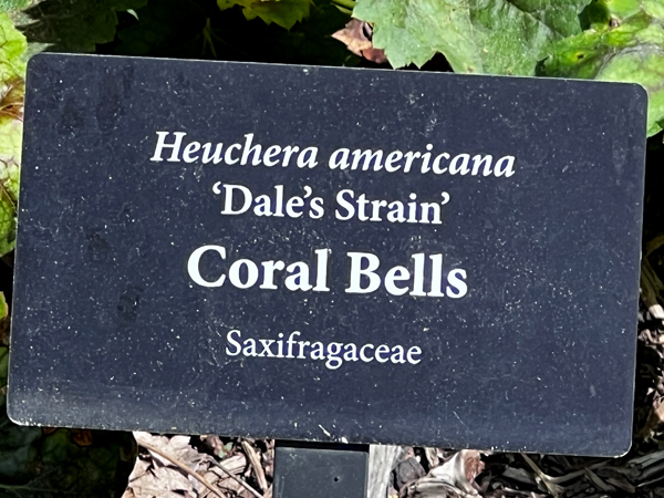 Coral Bells sign