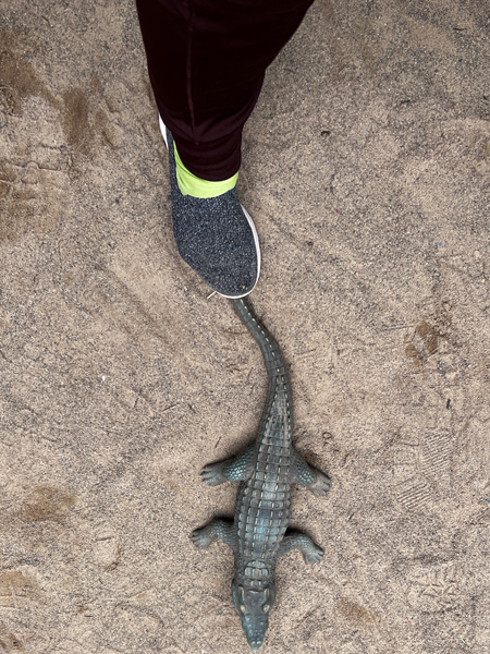 Karen Duquette steps on an alligator's tail