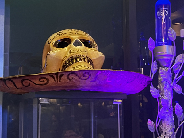 scary skeleton face