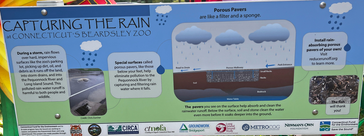 sign about rain