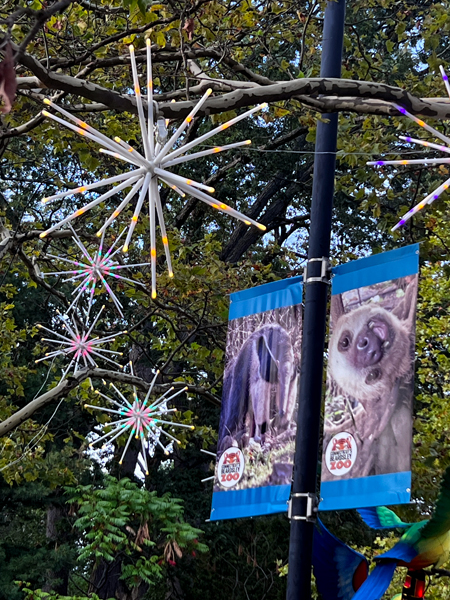 flags andlit stars