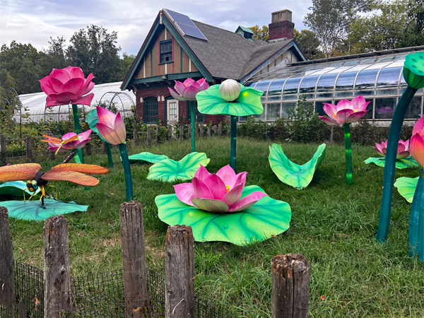 flowers in Beardsley Zoo