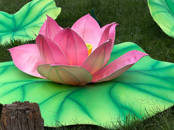 flower in Beardsley Zoo