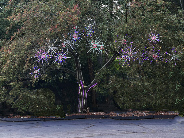 Tree of LIfe 