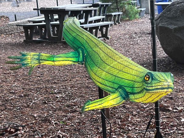 a green sea cirtter