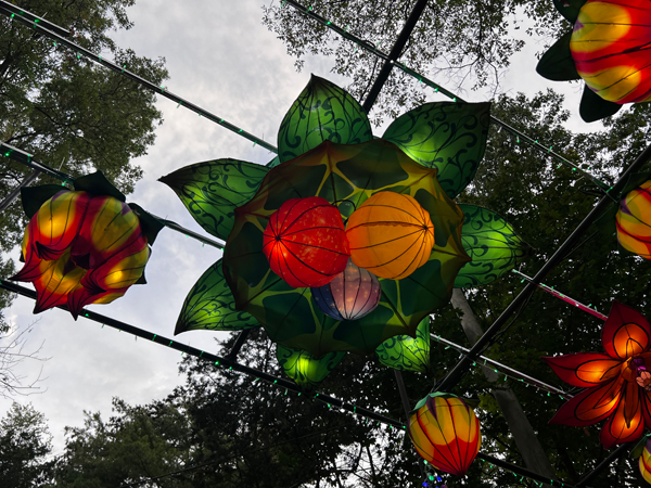 overhead lights