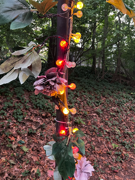 lights on a tree