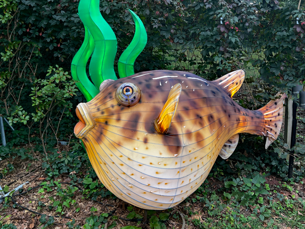 fish