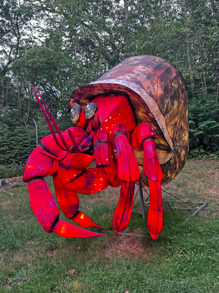 Hermit Crab