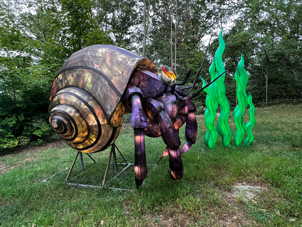 Hermit Crab