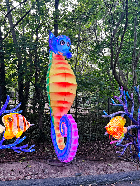seahorse