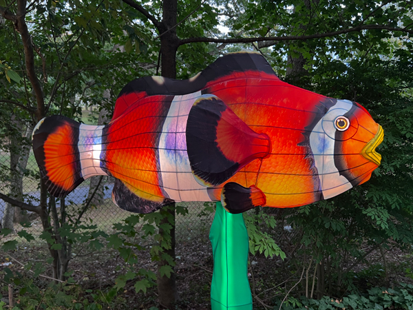 fish