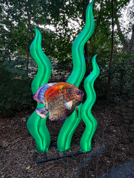 fish
