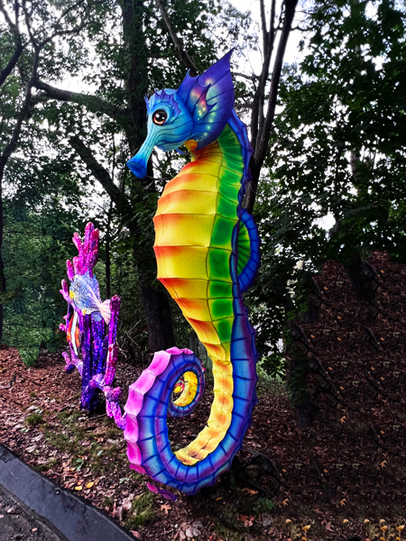 seahorse