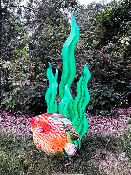 fish